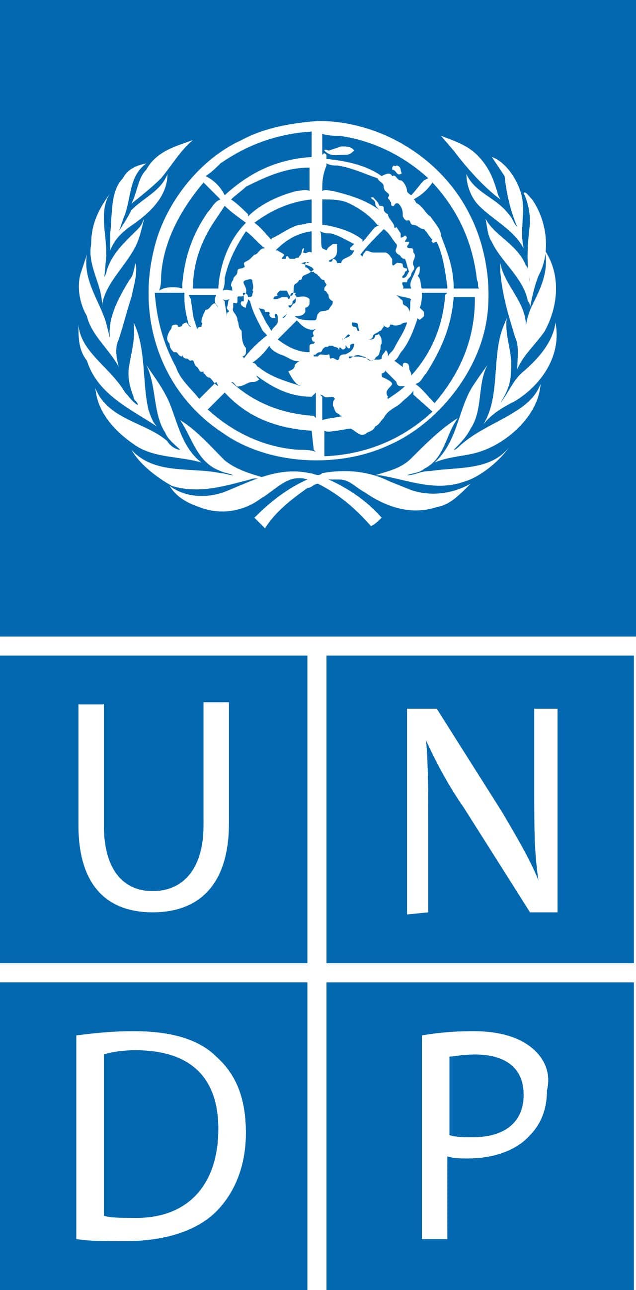 United Nations
Development Programme